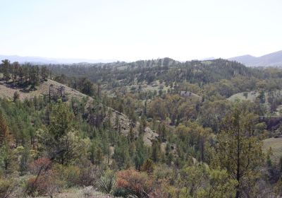 SA Outback Tour & Goog's Track - September 2025